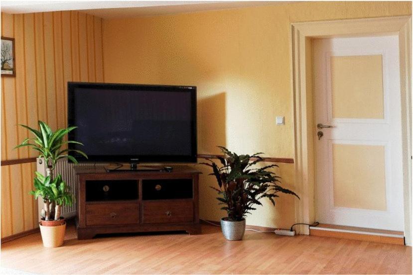 Gaststube Zum Amtskrug Guest House Залцгитер Екстериор снимка